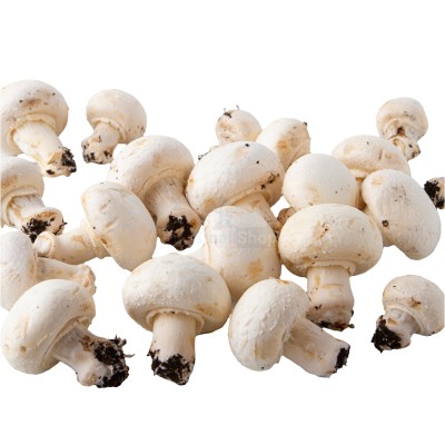 Шампиньоны свежие 500 г - купить в Манаково